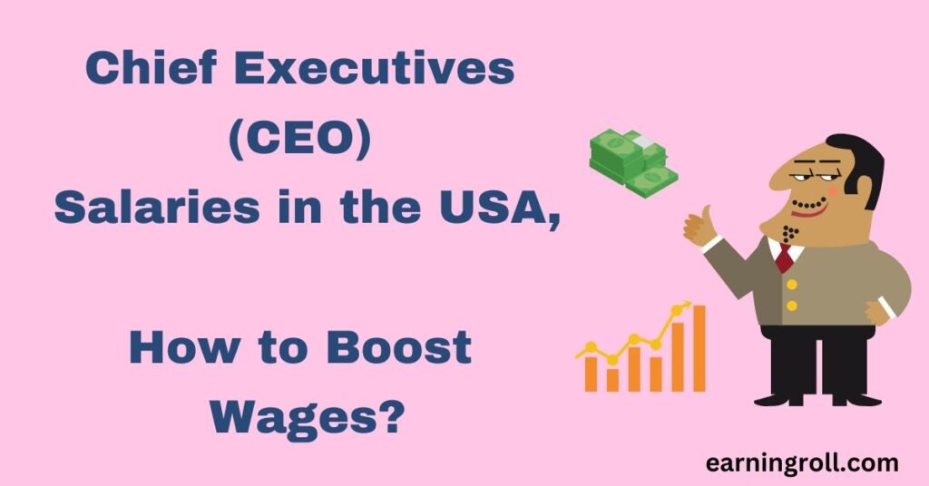 Chief Executives Wages in USA